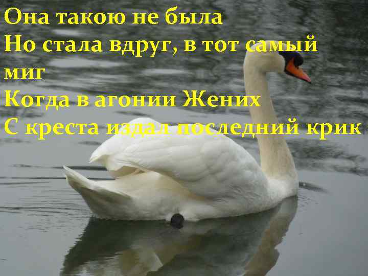 Она такою не была Но стала вдруг, в тот самый миг Когда в агонии