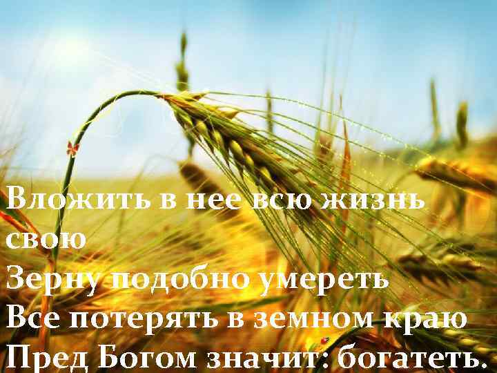 Вложить в нее всю жизнь свою Зерну подобно умереть Все потерять в земном краю