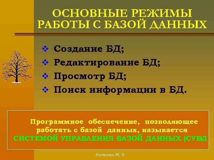 ОСНОВНЫЕ РЕЖИМЫ РАБОТЫ С БАЗОЙ ДАННЫХ v Создание БД; v Редактирование БД; v Просмотр