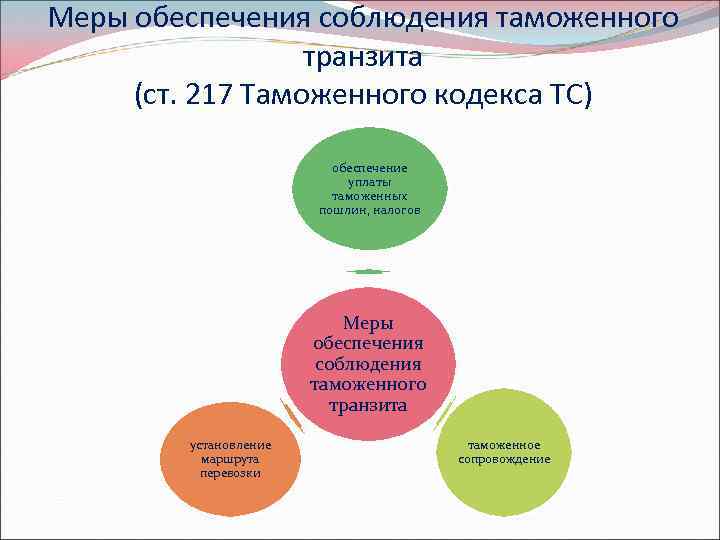 Меры обеспечения соблюдения таможенного транзита (ст. 217 Таможенного кодекса ТС) обеспечение уплаты таможенных пошлин,