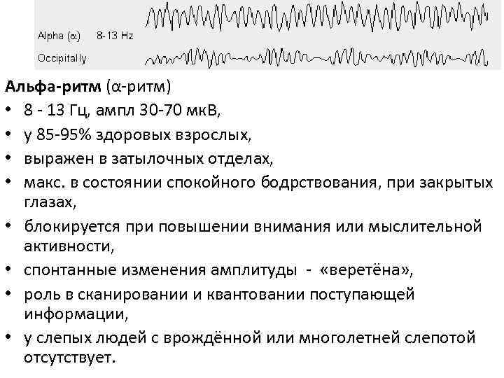 Альфа-ритм (α-ритм) • 8 - 13 Гц, ампл 30 -70 мк. В, • у