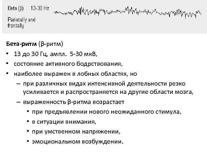 Бета-ритм (β-ритм) • 13 до 30 Гц, ампл. 5 -30 мк. В, • состояние