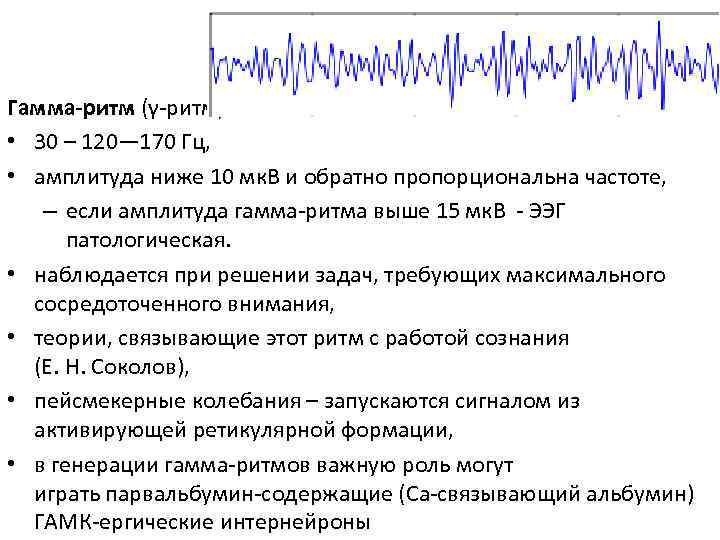 Гамма-ритм (γ-ритм) • 30 – 120— 170 Гц, • амплитуда ниже 10 мк. В