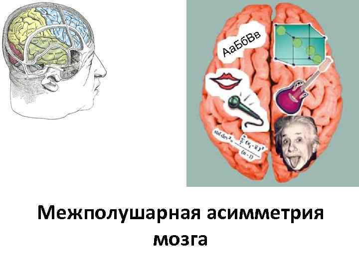 Межполушарная асимметрия. Межполушарная асимметрия коры головного мозга. Понятие межполушарная асимметрия головного мозга. Межполушарные взаимодействия головного мозга. Проблема межполушарной асимметрии мозга.