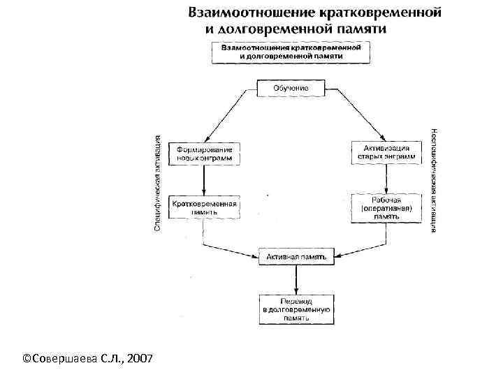 ©Совершаева С. Л. , 2007 