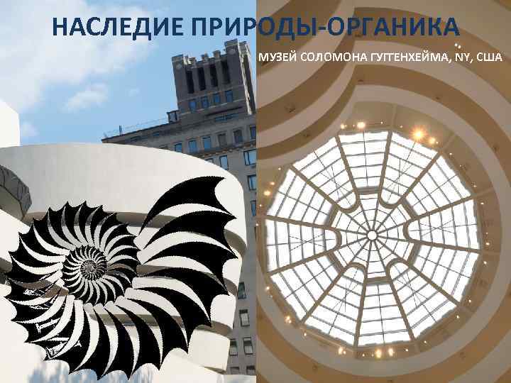 НАСЛЕДИЕ ПРИРОДЫ-ОРГАНИКА МУЗЕЙ СОЛОМОНА ГУГГЕНХЕЙМА, NY, США 