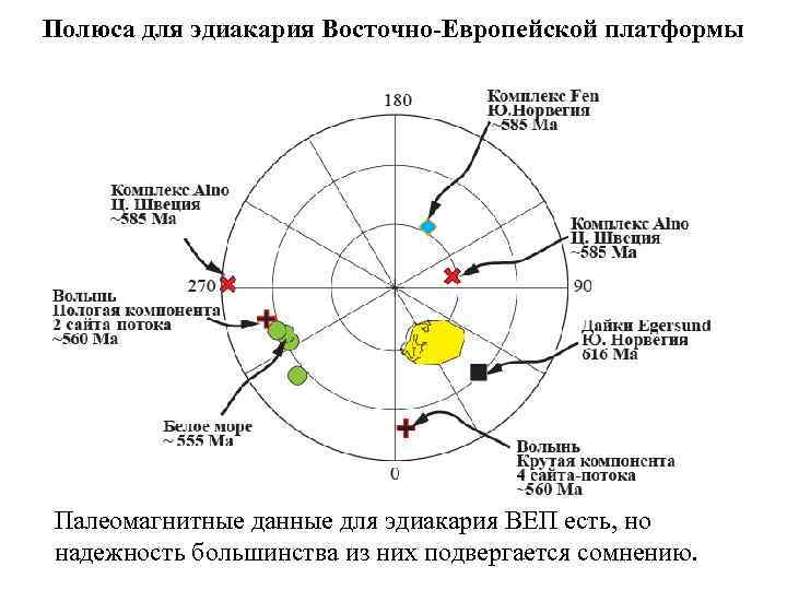 Полюса для эдиакария Восточно-Европейской платформы Палеомагнитные данные для эдиакария ВЕП есть, но надежность большинства