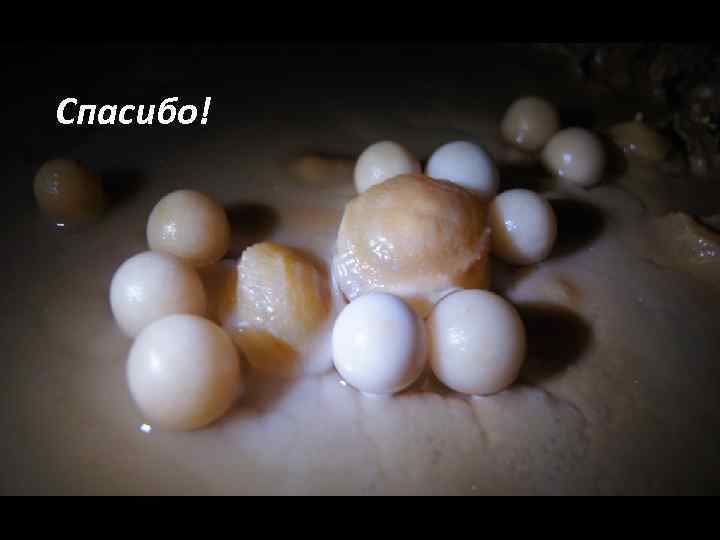 Спасибо! 