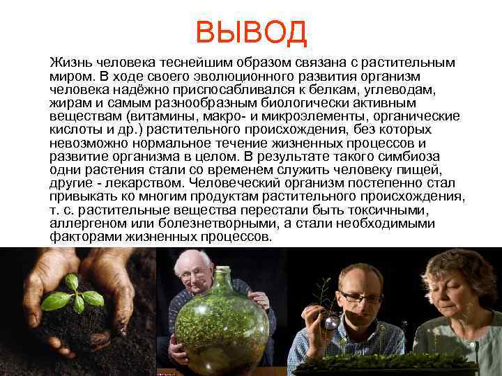 ВЫВОД Жизнь человека теснейшим образом связана с растительным миром. В ходе своего эволюционного развития