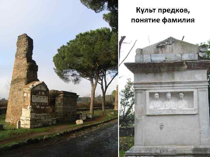 Культ предков, понятие фамилия 