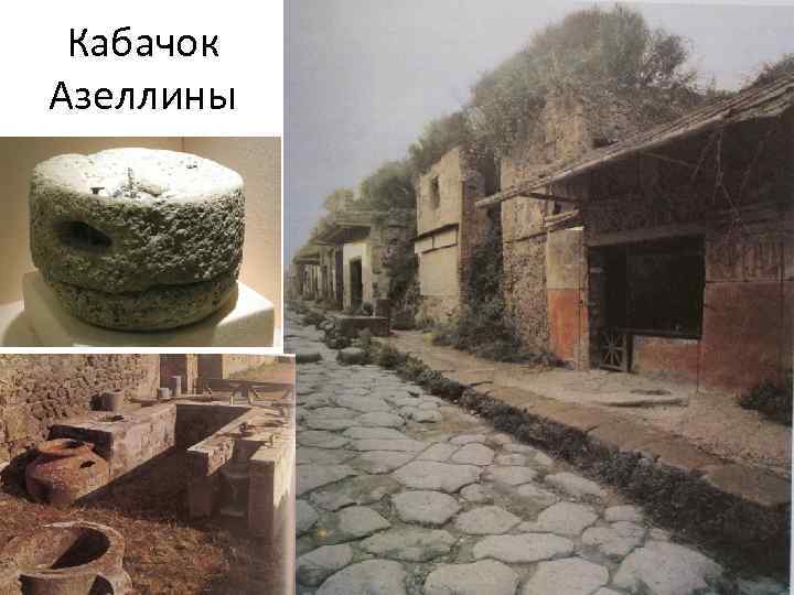 Кабачок Азеллины 