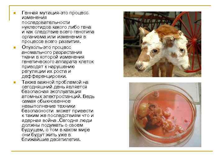 n n n Генная мутация это процесс изменения последовательности нуклеотидов какого либо гена и