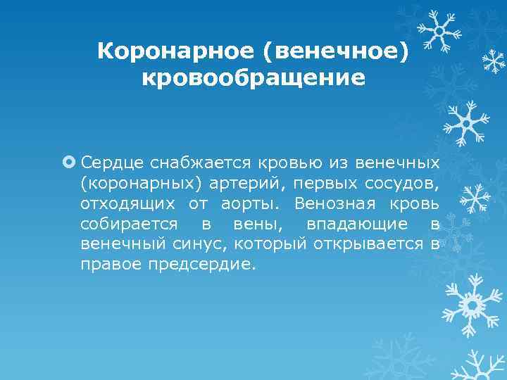 Коронарное (венечное) кровообращение Сердце снабжается кровью из венечных (коронарных) артерий, первых сосудов, отходящих от