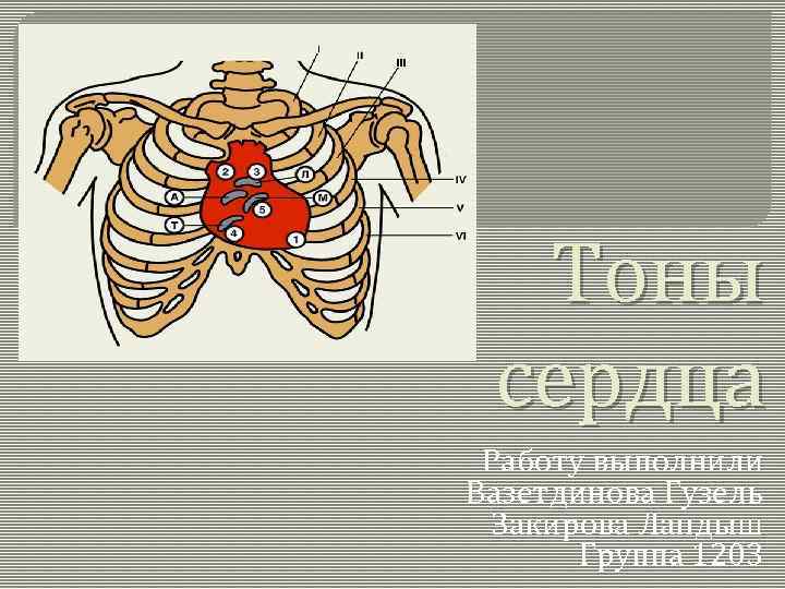 Тоны сердца Работу выполнили Вазетдинова Гузель Закирова Ландыш Группа 1203 
