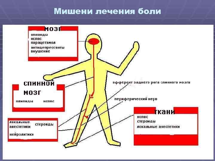 Мишени лечения боли 