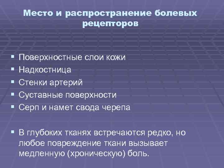 Место и распространение болевых рецепторов § § § Поверхностные слои кожи Надкостница Стенки артерий