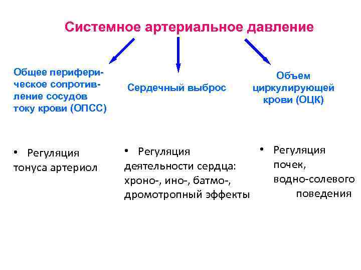Системное артериальное давление Общее периферическое сопротивление сосудов току крови (ОПСС) • Регуляция тонуса артериол