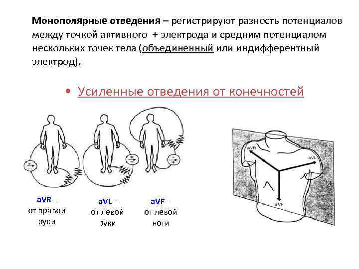 Монополярные отведения – регистрируют разность потенциалов между точкой активного + электрода и средним потенциалом