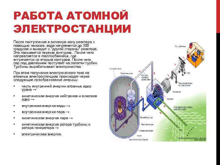 РАБОТА АТОМНОЙ ЭЛЕКТРОСТАНЦИИ После поступления в активную зону реактора с помощью насосов, вода нагревается