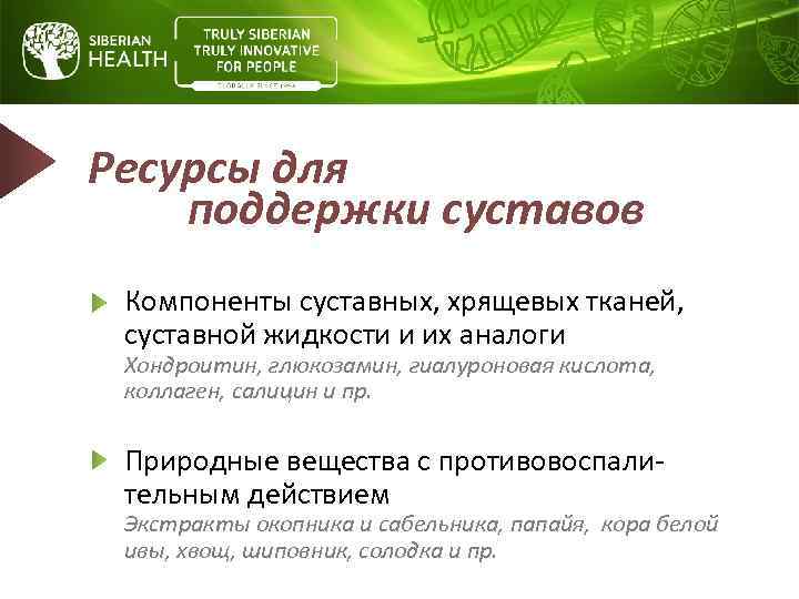 Ресурсы для поддержки суставов Компоненты суставных, хрящевых тканей, суставной жидкости и их аналоги Хондроитин,