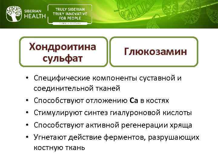 Хондроитина сульфат Глюкозамин • Специфические компоненты суставной и соединительной тканей • Способствуют отложению Ca