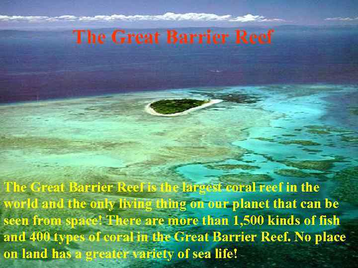 The Great Barrier Reef is the largest coral reef in the world and the