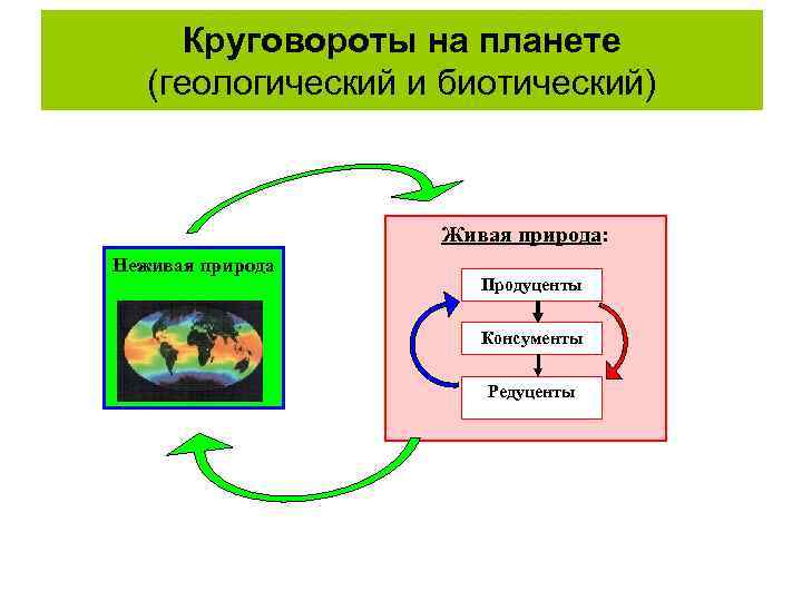 Круговорот неживой природы. Теория биотической регуляции окружающей среды. Биотический круговорот схема. Биотическая регуляция окружающей среды горшков.