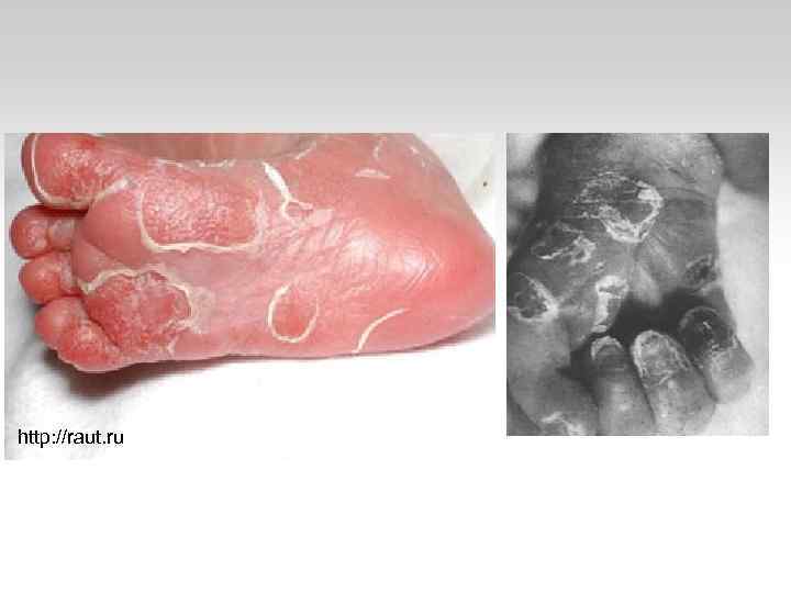 http: //raut. ru 