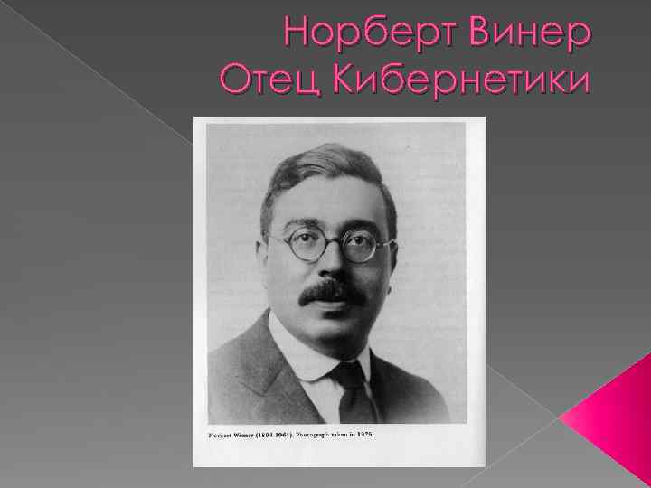 Норберт винер проект