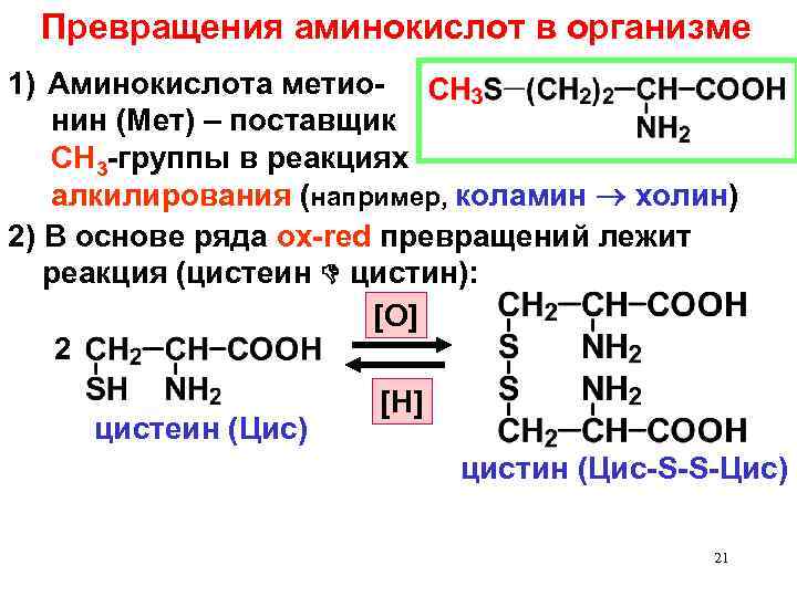 Химические свойства аминокислот и белков