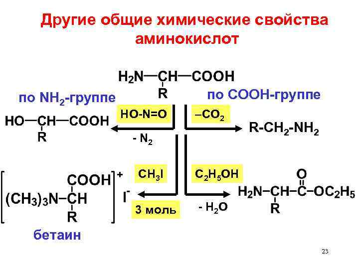 Тема аминокислоты белки