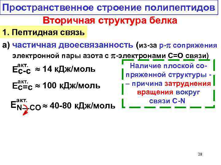 Пространственное строение полипептидов Вторичная структура белка 1. Пептидная связь а) частичная двоесвязанность (из-за р-