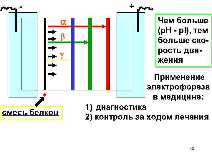 - + смесь белков Чем больше (p. H - p. I), тем больше скорость