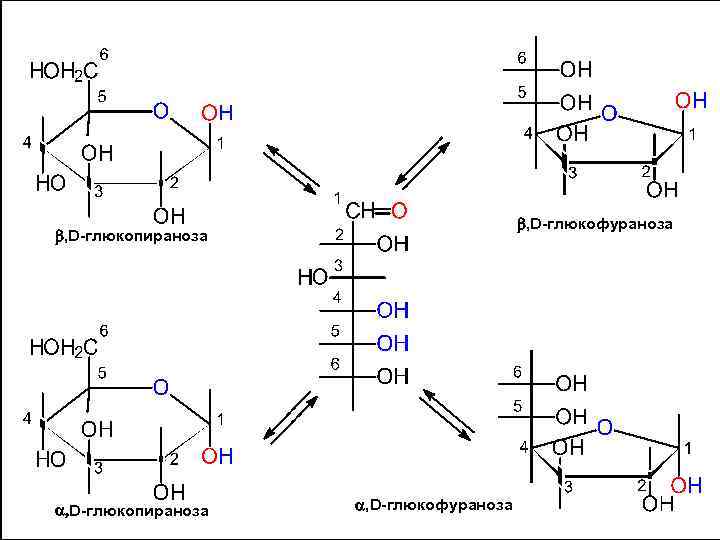  , D-глюкофураноза , D-глюкопираноза , D-глюкофураноза 