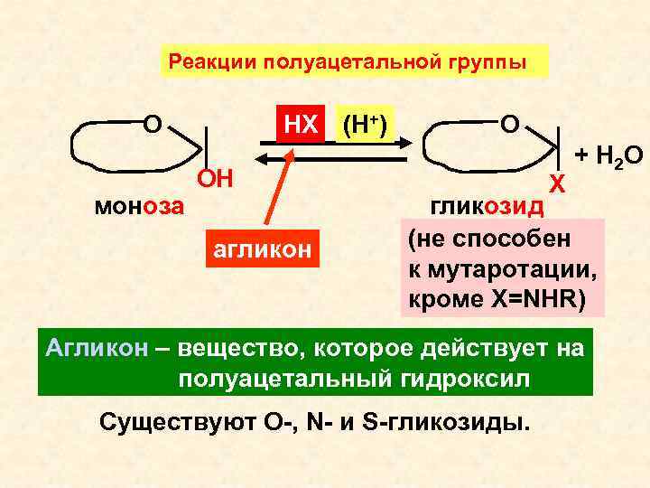 Реакции полуацетальной группы НХ (Н+) О моноза ОН агликон О Х + Н 2