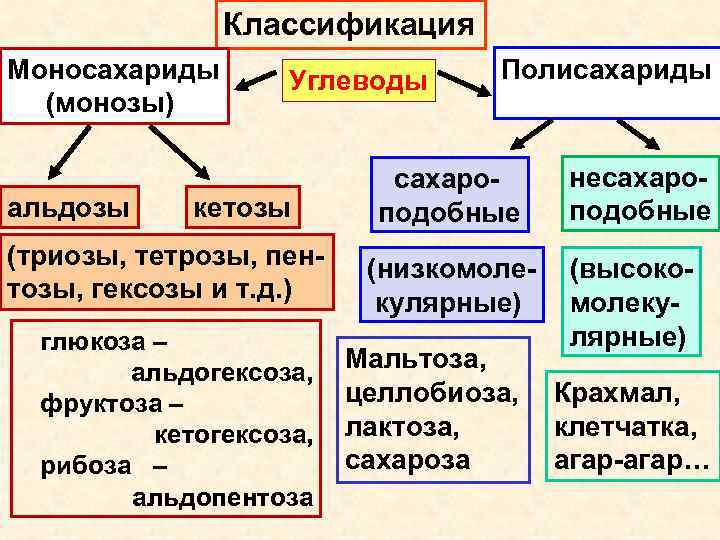 Углеводы моносахариды презентация