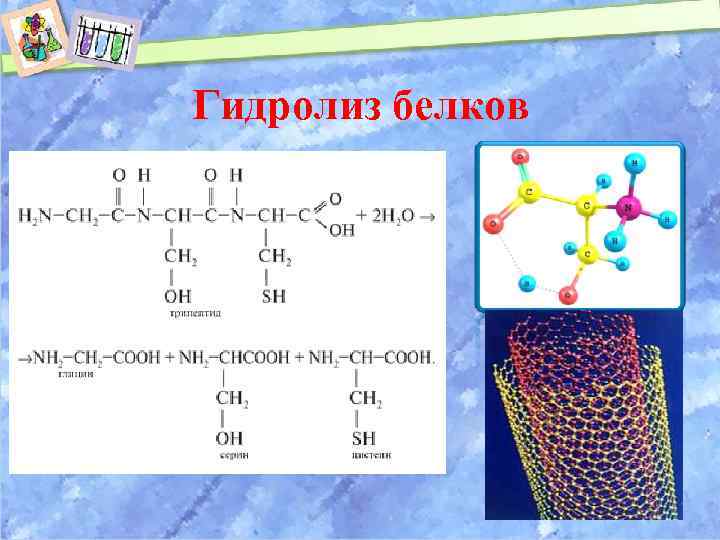 Гидролиз белков 