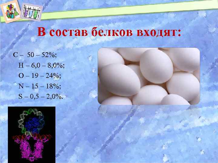 В состав белков входят: С – 50 – 52%; Н – 6, 0 –