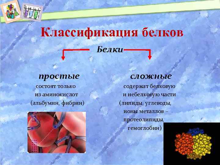 Классификация белков Белки простые состоят только из аминокислот (альбумин, фибрин) сложные содержат белковую и