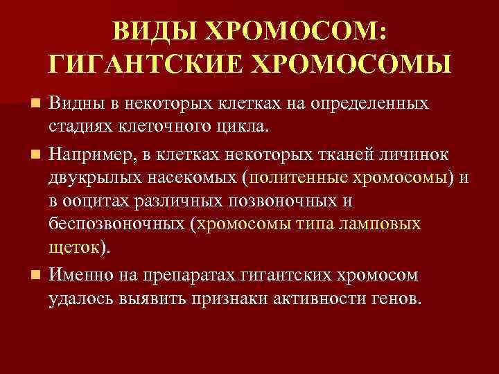 ВИДЫ ХРОМОСОМ: ГИГАНТСКИЕ ХРОМОСОМЫ Видны в некоторых клетках на определенных стадиях клеточного цикла. n