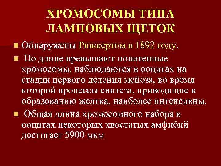 ХРОМОСОМЫ ТИПА ЛАМПОВЫХ ЩЕТОК n Обнаружены Рюккертом в 1892 году. n По длине превышают