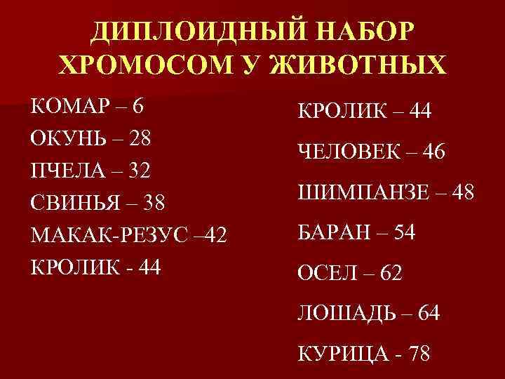 ДИПЛОИДНЫЙ НАБОР ХРОМОСОМ У ЖИВОТНЫХ КОМАР – 6 ОКУНЬ – 28 ПЧЕЛА – 32