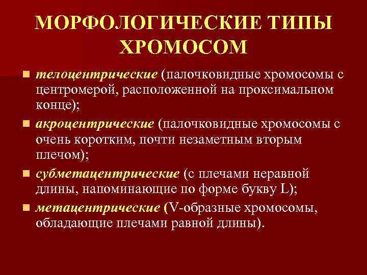 МОРФОЛОГИЧЕСКИЕ ТИПЫ ХРОМОСОМ телоцентрические (палочковидные хромосомы с центромерой, расположенной на проксимальном конце); n акроцентрические