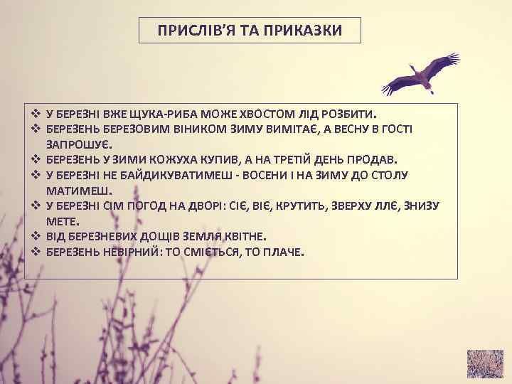 ПРИСЛІВ’Я ТА ПРИКАЗКИ v У БЕРЕЗНІ ВЖЕ ЩУКА РИБА МОЖЕ ХВОСТОМ ЛІД РОЗБИТИ. v