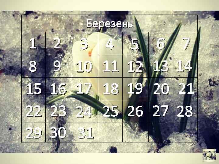 Березень 1 8 15 22 29 2 9 16 23 30 3 10 17