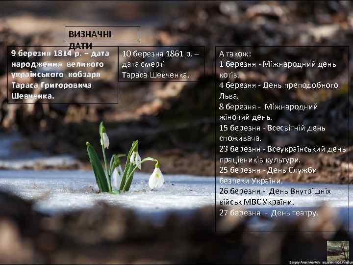 ВИЗНАЧНІ ДАТИ 9 березня 1814 р. – дата народження великого українського кобзаря Тараса Григоровича