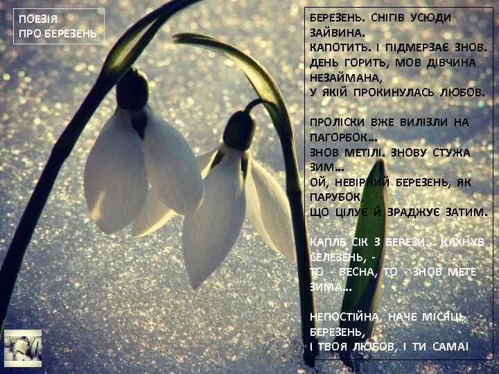 ПОЕЗІЯ ПРО БЕРЕЗЕНЬ. СНІГІВ УСЮДИ ЗАЙВИНА. КАПОТИТЬ. І ПІДМЕРЗАЄ ЗНОВ. ДЕНЬ ГОРИТЬ, МОВ ДІВЧИНА