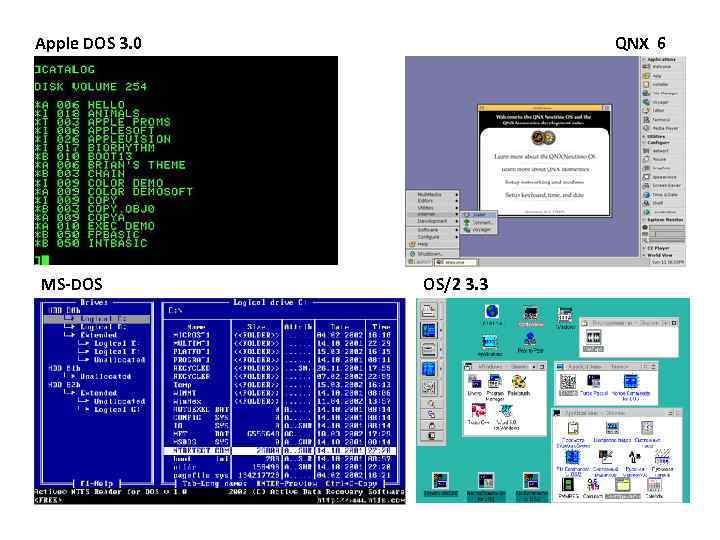 Apple DOS 3. 0 MS-DOS QNX 6 OS/2 3. 3 