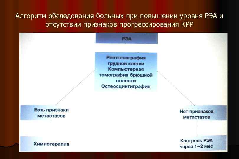 Алгоритм обследования больных при повышении уровня РЭА и отсутствии признаков прогрессирования КРР 