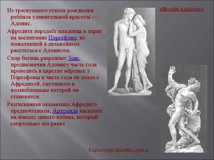  Из треснувшего ствола рождается ребёнок удивительной красоты — Адонис. Афродита передаёт младенца в